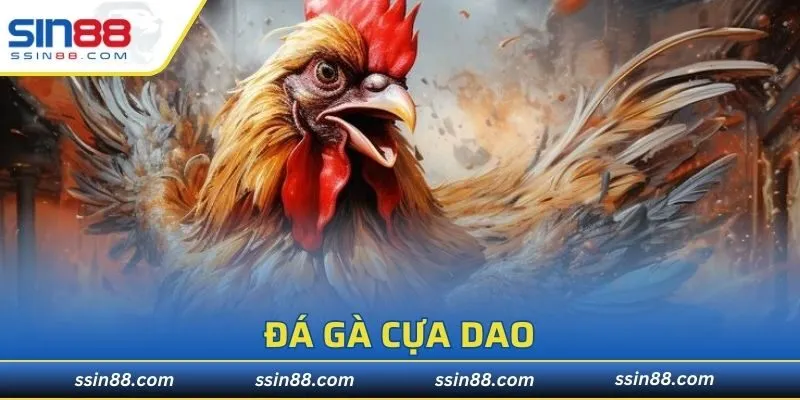 Đá Gà Cựa Dao
